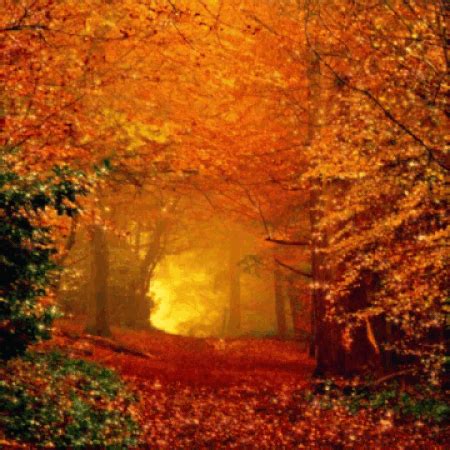 animated autumn pictures|free animated autumn gifs.